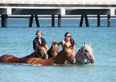 equine rehab therapy services whitby wa