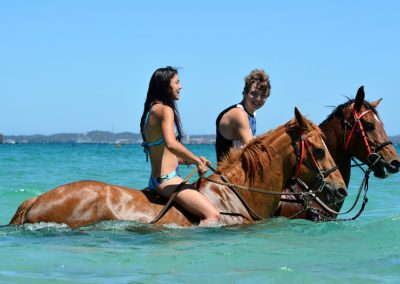 equine rehab therapy services whitby wa