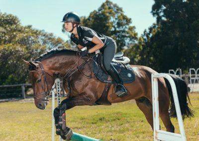 equine training services WA