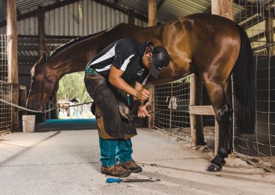 farrier services whitby wa