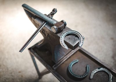 qualified farrier whitby WA