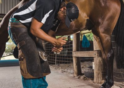 horse shoeing whitby wa