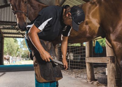 therapy farrier whitby wa