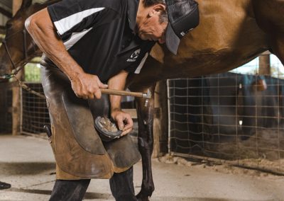 horse shoeing whitby wa