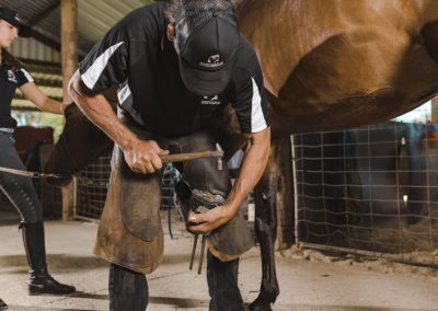 farrier whitby WA