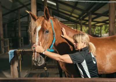 equine chiro services whitby wa