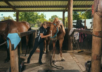 equine chiro services whitby wa