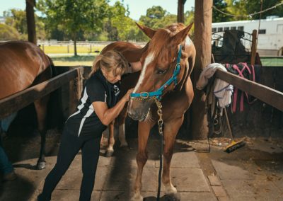 equine chiro services whitby wa
