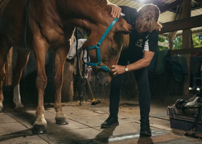equine chiro services whitby wa