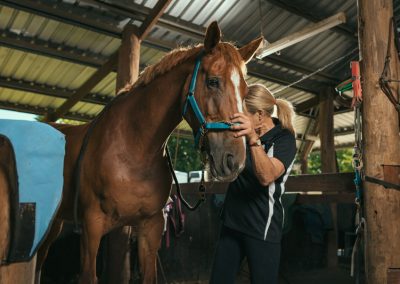 equine chiro services whitby wa