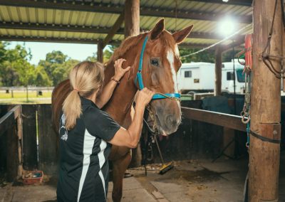 equine chiro services whitby wa