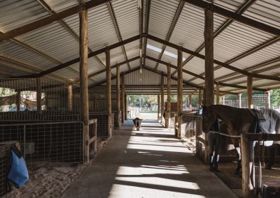 topline equine training facilities